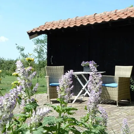 Bed&Breakfast Hoornaar-2